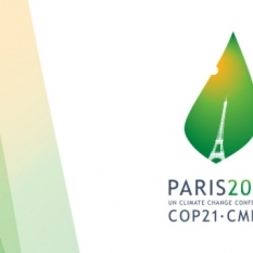 21º Conferencia sobre el Clima (COP 21)