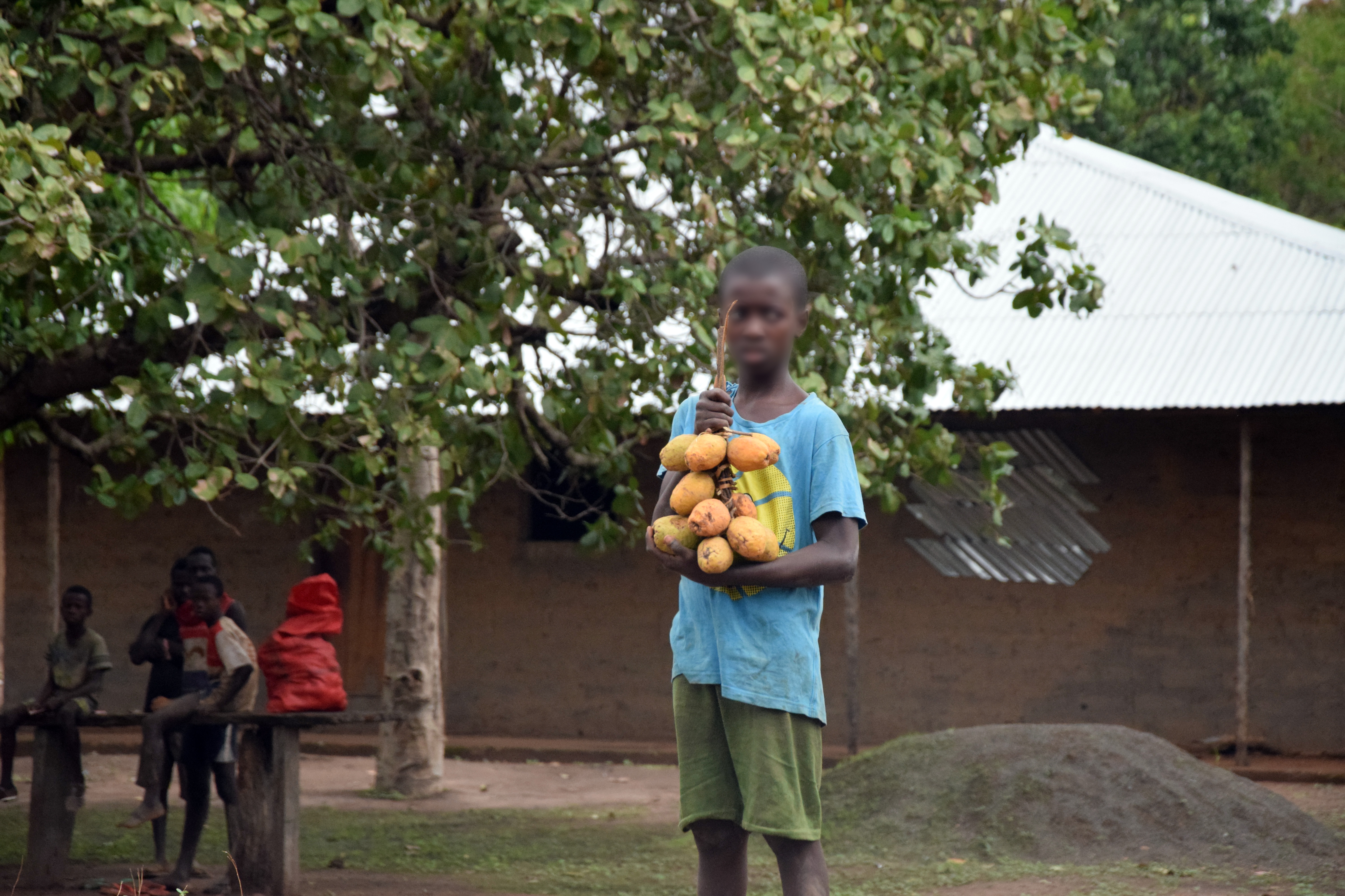 Guiné Bissau e criança