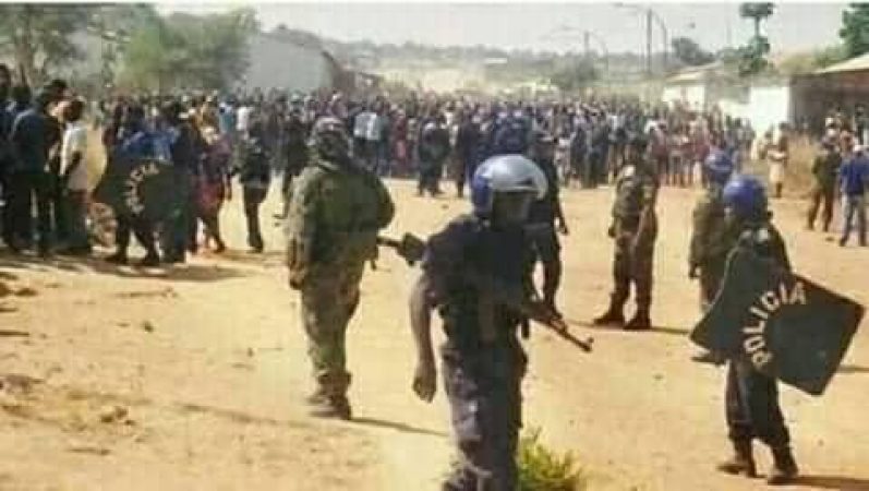 143950690_10220156995770138_1410027407513423179_n