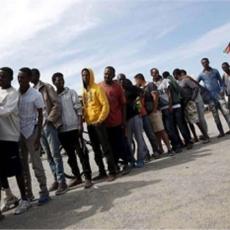 DIREITO DA PESSOA IMIGRANTE