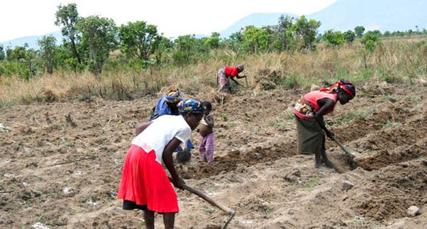 Direitos da Mulher em Malanje