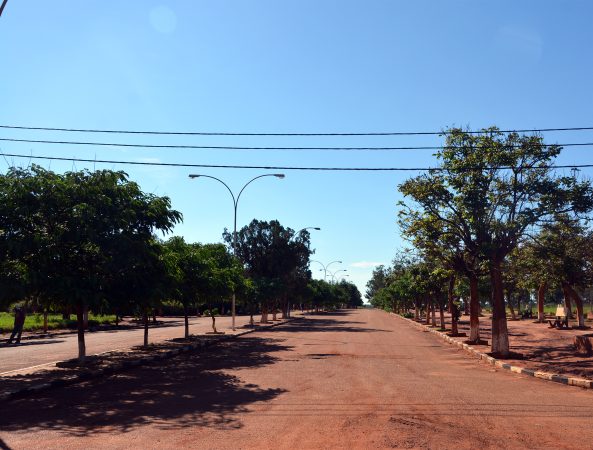 Dia Nacional do Ambiente