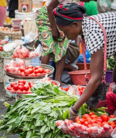 Mosaiko Pesquisa OGE e Género