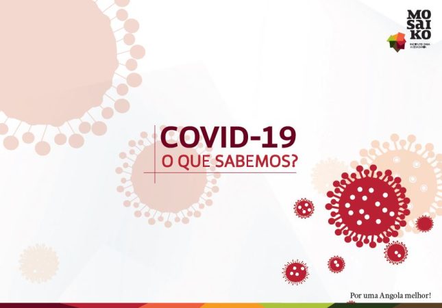 Covid19 - O que sabemos?