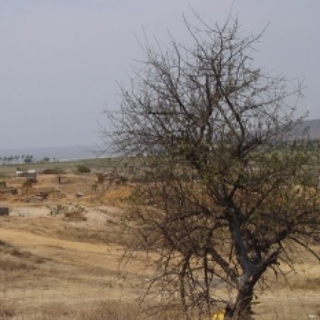 DÍA MUNDIAL DEL MEDIO AMBIENTE