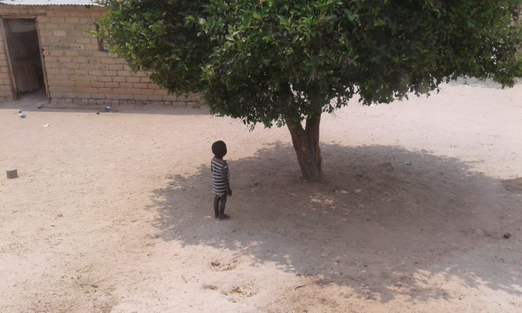 Dia Internacional da Terra