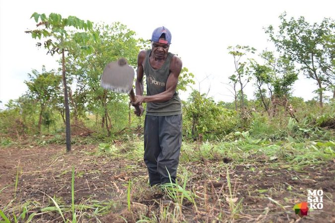 Dia Internacional da Terra